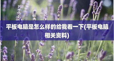 平板电脑是怎么样的给我看一下(平板电脑相关资料)