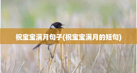 祝宝宝满月句子(祝宝宝满月的短句)