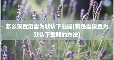 怎么设置迅雷为默认下载器(将迅雷设置为默认下载器的方法)