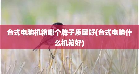 台式电脑机箱哪个牌子质量好(台式电脑什么机箱好)