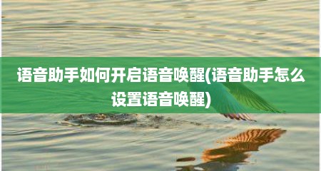 语音助手如何开启语音唤醒(语音助手怎么设置语音唤醒)