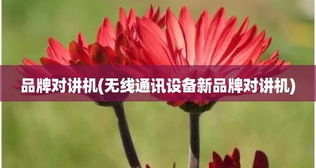 品牌对讲机(无线通讯设备新品牌对讲机)