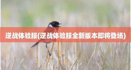 逆战体验服(逆战体验服全新版本即将登场)