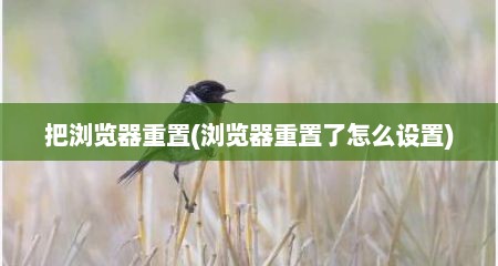把浏览器重置(浏览器重置了怎么设置)