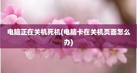 电脑正在关机死机(电脑卡在关机页面怎么办)