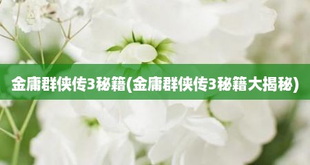 金庸群侠传3秘籍(金庸群侠传3秘籍大揭秘)