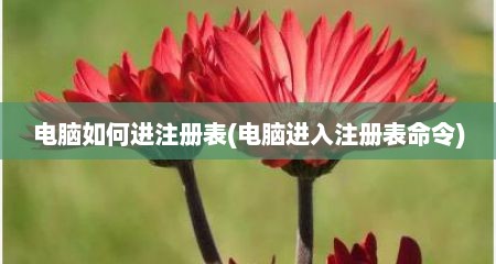 电脑如何进注册表(电脑进入注册表命令)