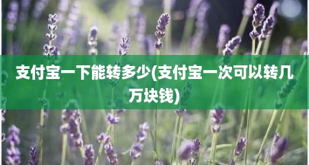 支付宝一下能转多少(支付宝一次可以转几万块钱)