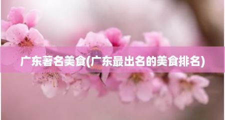 广东著名美食(广东最出名的美食排名)