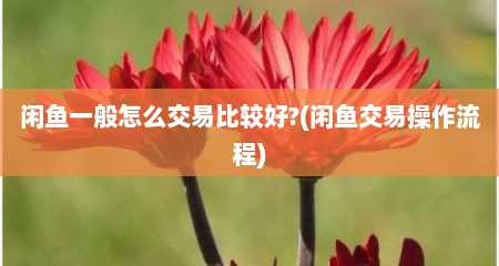 闲鱼一般怎么交易比较好?(闲鱼交易操作流程)