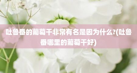 吐鲁番的葡萄干非常有名是因为什么?(吐鲁番哪里的葡萄干好)