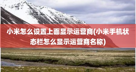 小米怎么设置上面显示运营商(小米手机状态栏怎么显示运营商名称)