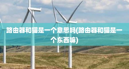 路由器和猫是一个意思吗(路由器和猫是一个东西嘛)