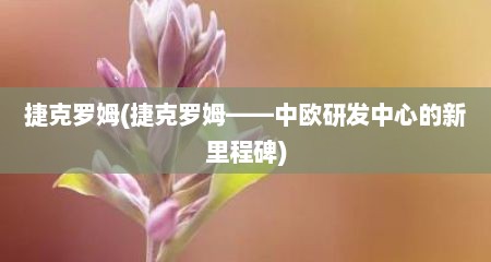 捷克罗姆(捷克罗姆——中欧研发中心的新里程碑)