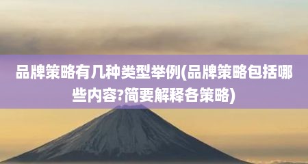 品牌策略有几种类型举例(品牌策略包括哪些内容?简要解释各策略)