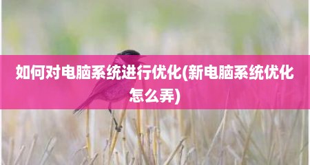 如何对电脑系统进行优化(新电脑系统优化怎么弄)