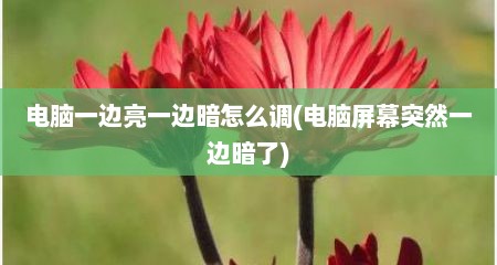 电脑一边亮一边暗怎么调(电脑屏幕突然一边暗了)