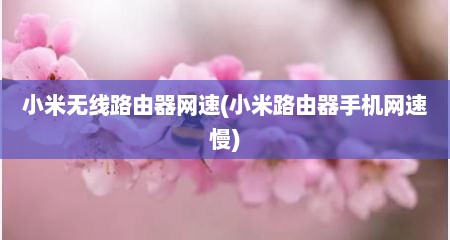 小米无线路由器网速(小米路由器手机网速慢)