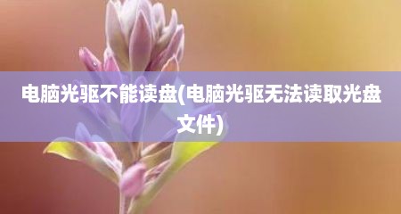 电脑光驱不能读盘(电脑光驱无法读取光盘文件)