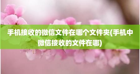 手机接收的微信文件在哪个文件夹(手机中微信接收的文件在哪)