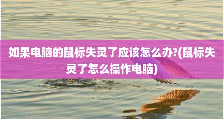 如果电脑的鼠标失灵了应该怎么办?(鼠标失灵了怎么操作电脑)