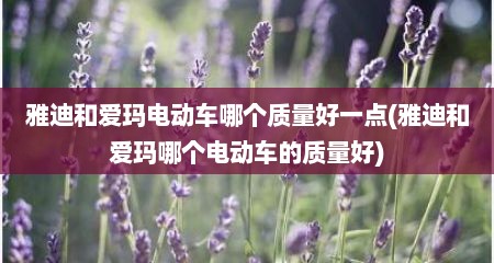 雅迪和爱玛电动车哪个质量好一点(雅迪和爱玛哪个电动车的质量好)