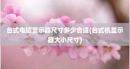 台式电脑显示器尺寸多少合适(台式机显示器大小尺寸)