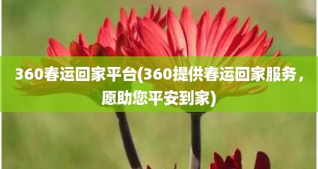 360春运回家平台(360缇供春运回家服务，愿助您平安到家)