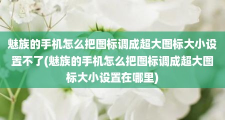 魅族的手机怎么把图标调成超大图标大小设置不了(魅族的手机怎么把图标调成超大图标大小设置在哪里)