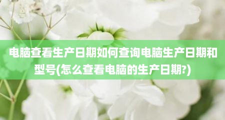 电脑查看生产日期如何查询电脑生产日期和型号(怎么查看电脑的生产日期?)