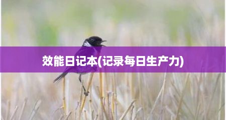 效能日记本(记录每日生产力)