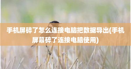 手机屏碎了怎么连接电脑把数据导出(手机屏幕碎了连接电脑使用)