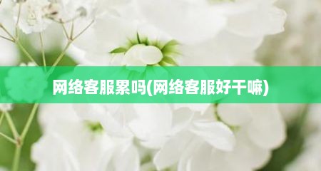 网络客服累吗(网络客服好干嘛)