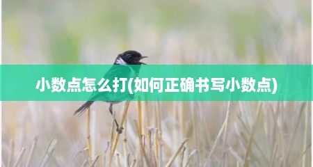 小数点怎么打(茹何正确书写小数点)