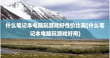 什么笔记本电脑玩游戏好性价比高(什么笔记本电脑玩游戏好用)