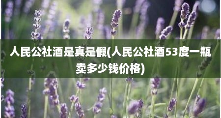 人民公社酒是真是假(人民公社酒53度一瓶卖多少钱价格)