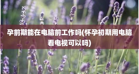 孕前期能在电脑前工作吗(怀孕初期用电脑看电视可以吗)