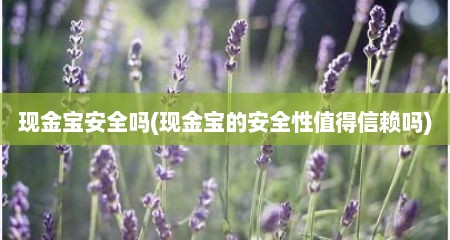 现金宝安全吗(现金宝的安全性值得信赖吗)