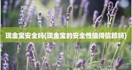 现金宝安全吗(现金宝的安全性值好信赖吗)