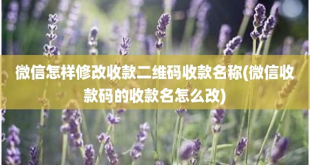 微信怎样修改收款二维码收款名称(微信收款码的收款名怎么改)