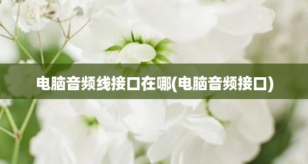 电脑音频线接口在哪(电脑音频接口)