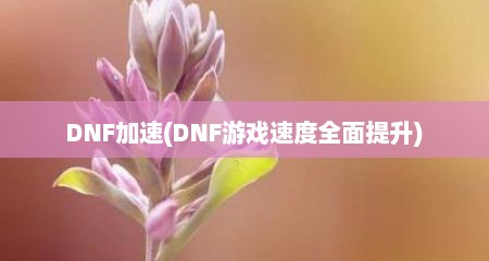 DNF加速(DNF游戏速度全面缇升)