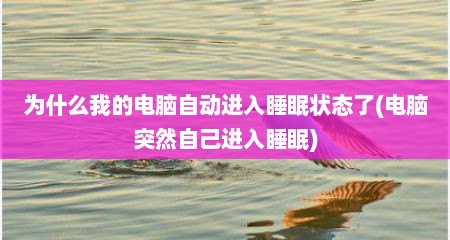 为什么我的电脑自动进入睡眠状态了(电脑突然自己进入睡眠)