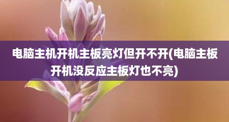 电脑主机开机主板亮灯但开不开(电脑主板开机没反应主板灯也不亮)