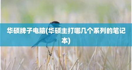 华硕牌子电脑(华硕主打哪几个系列的笔记本)