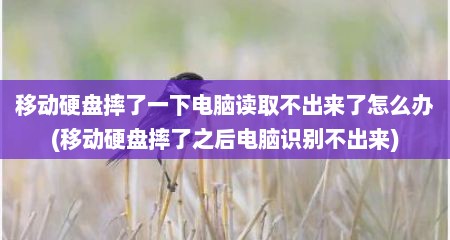 移动硬盘摔了一下电脑读取不出来了怎么办(移动硬盘摔了之后电脑识别不出来)