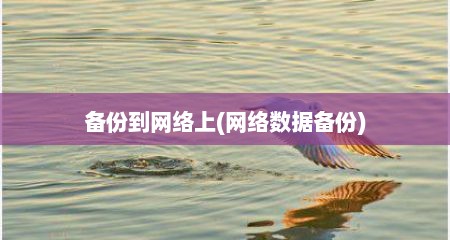 备份到网络上(网络数据备份)