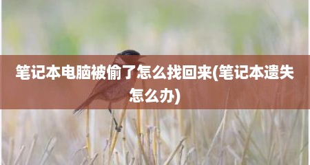 笔记本电脑被偷了怎么找回来(笔记本遗失怎么办)