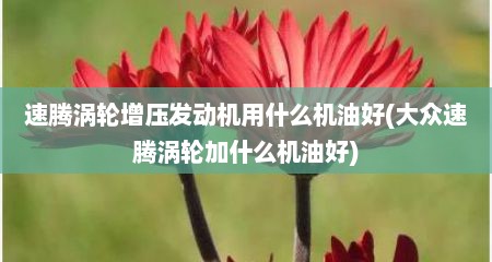 速腾涡轮增压发动机用什么机油好(大众速腾涡轮加什么机油好)
