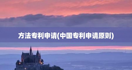 方法专利申请(中国专利申请原则)